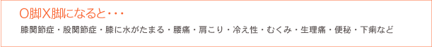 膝関節症・股関節症・膝に水がたまる・腰痛・肩こり・冷え性・むくみ・生理痛・便秘・下痢など