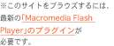 ̃TCguEYɂMacromedia Flash Player̃vOCKvł